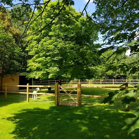 The Two Oaks - Private Garden For Guests 別荘